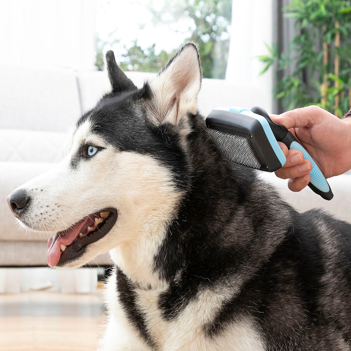 Cepillo Quitapelos para Perros y Gatos | PeloCero™